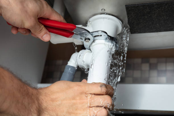 Best Ceiling water damage repair  in Montoursville, PA