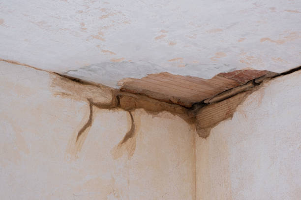 Best Water damage cleanup near me  in Montoursville, PA