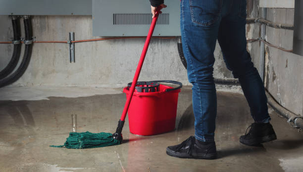 Best Flood restoration services  in Montoursville, PA