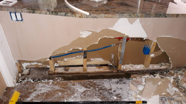 Best Carpet water damage restoration  in Montoursville, PA