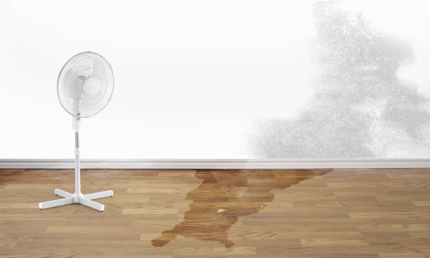 Best Water damage restoration process  in Montoursville, PA