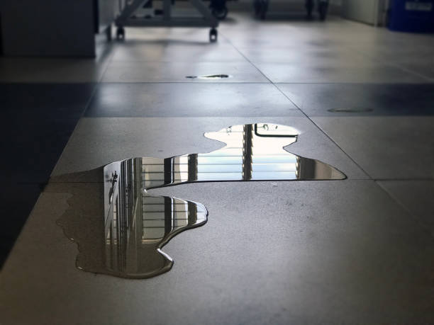 Best 24/7 water damage repair  in Montoursville, PA