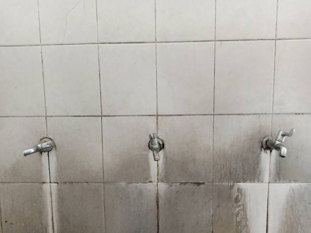 Best Mold removal after water damage  in Montoursville, PA