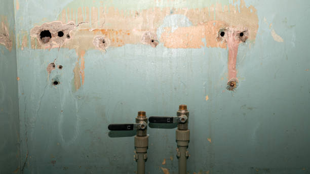 Best Water damage restoration company  in Montoursville, PA