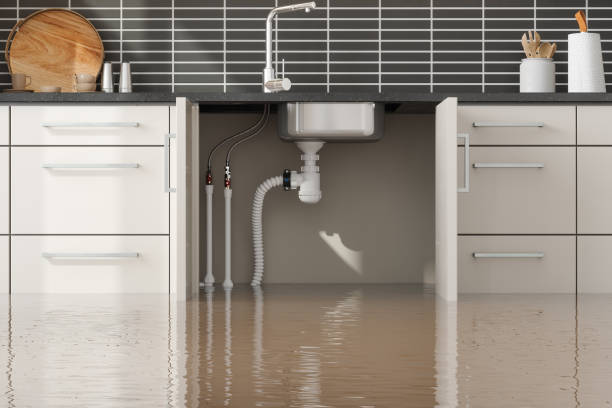 Best 24-hour water damage restoration  in Montoursville, PA