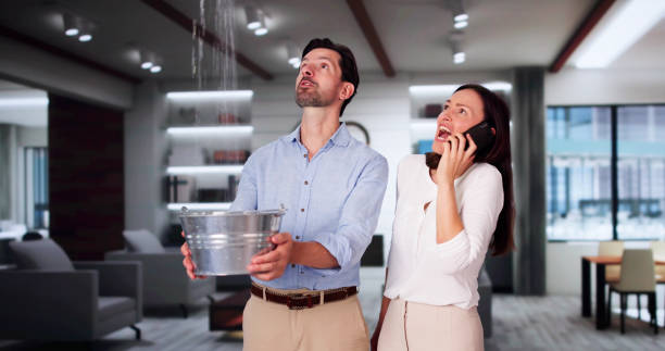Best Water damage restoration insurance claims  in Montoursville, PA