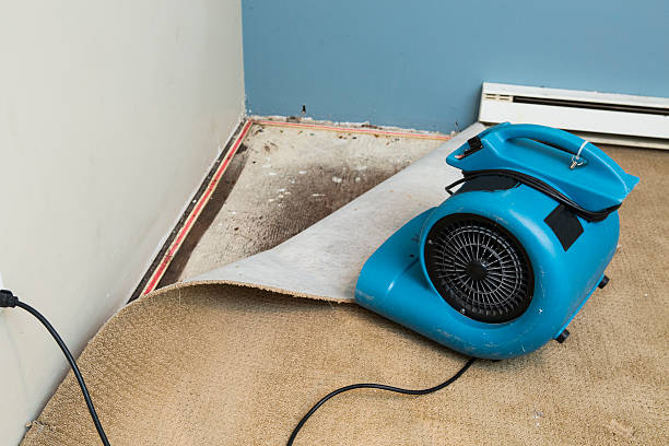 Best Water damage restoration near me  in Montoursville, PA